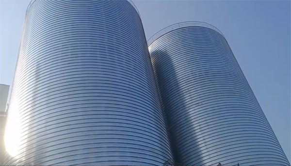 滑县2座混凝土高架卷板仓